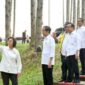 Sri Mulyani saat bersama Jokowi dan sejumlah menteri meninjau pembangunan IKN, Jumat (22/9/2023). (Dok. Biro Pers Sekretariat Presiden)