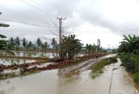 Banjir yang merendam Kecamatan Lambandia, Kabupaten Kolaka Timur, Provinsi Sulawesi Tenggara. (Dok. BPBD Kabupaten Kolaka Timur)