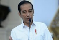 Mantan Presiden Joko Widodo. (Dok. presidenri.go.id)