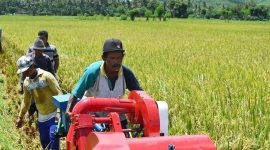 Petani memanen padi di Jawa Tengah—simbol keberhasilan program percepatan tanam yang dongkrak produksi nasional. (Facebook.com @Kementerian Pertanian Republik Indonesia)