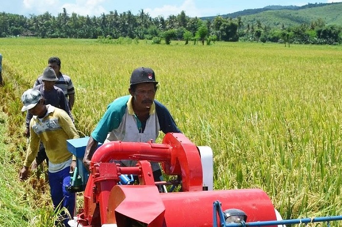Petani memanen padi di Jawa Tengah—simbol keberhasilan program percepatan tanam yang dongkrak produksi nasional. (Facebook.com @Kementerian Pertanian Republik Indonesia)