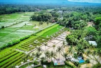 dok indonesiadaily.co.id